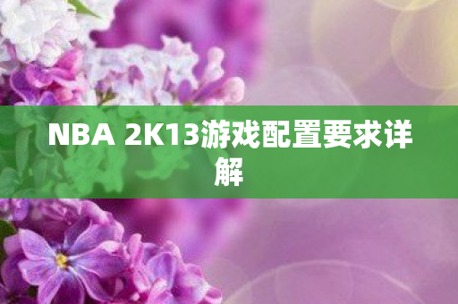 NBA 2K13游戏配置要求详解图片