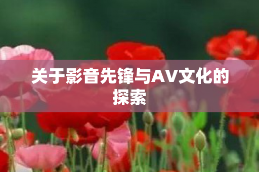 关于影音先锋与AV文化的探索图片