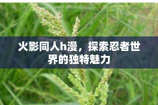 探索忍者世界的独特魅力图片