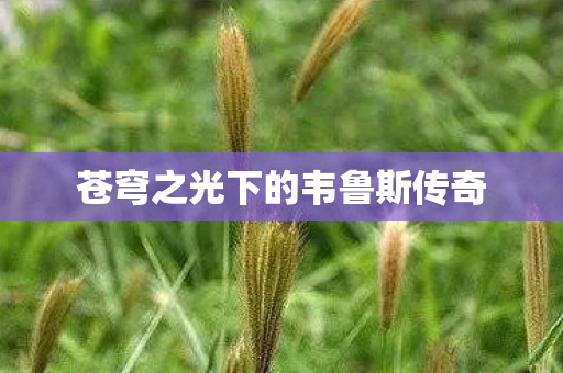 苍穹之光下的韦鲁斯传奇图片