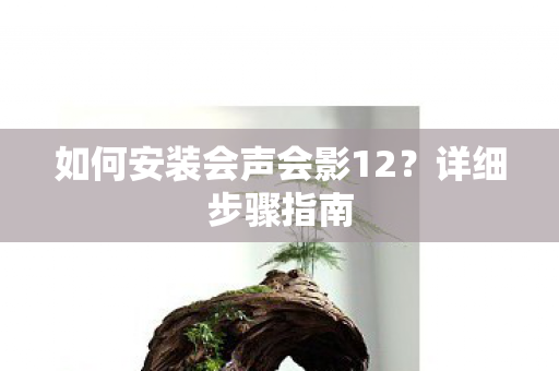 如何安装会声会影12图片