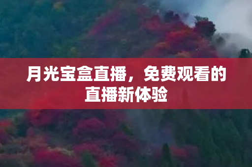 免费观看的直播新体验图片