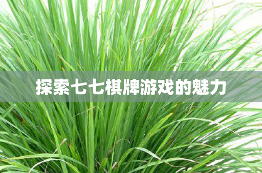 探索七七棋牌游戏的魅力图片