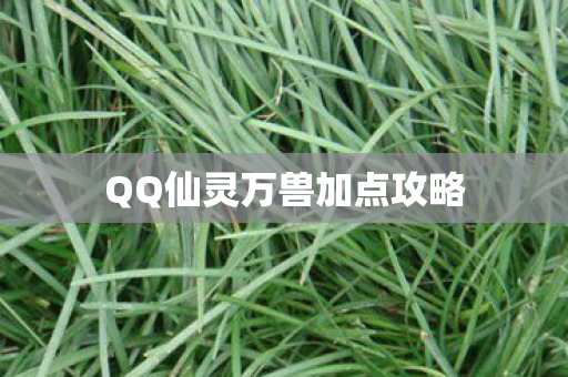 QQ仙灵万兽加点攻略图片