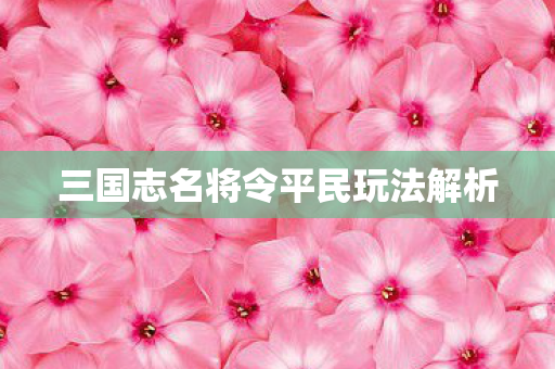 三国志名将令平民玩法解析图片