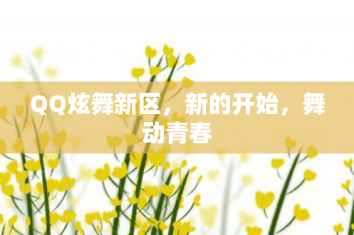 QQ炫舞新区图片
