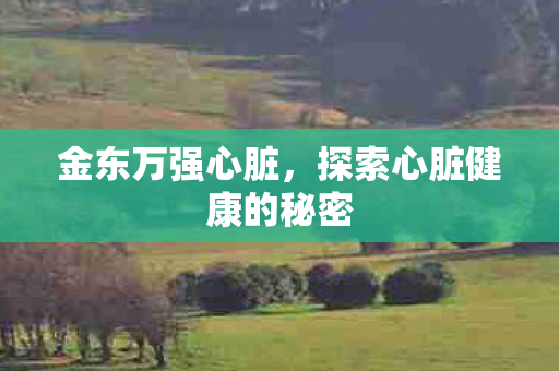 探索心脏健康的秘密图片