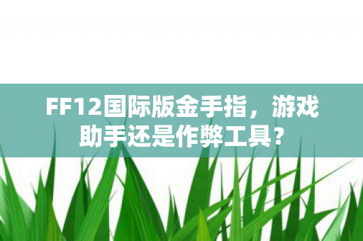 FF12国际版金手指图片