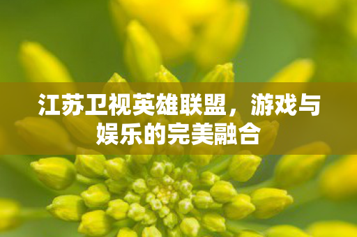游戏与娱乐的完美融合图片