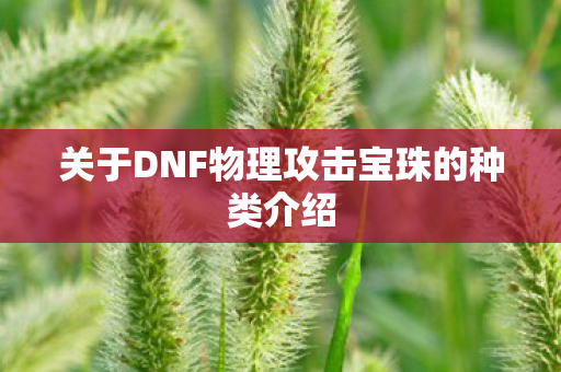 关于DNF物理攻击宝珠的种类介绍图片