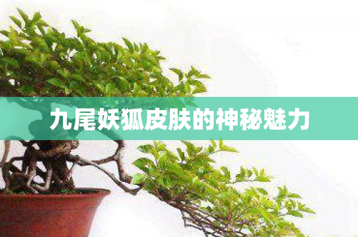 九尾妖狐皮肤的神秘魅力图片