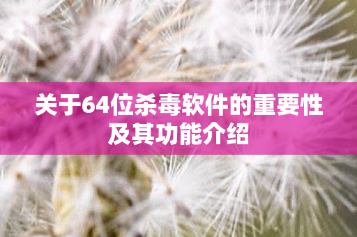 关于64位杀毒软件的重要性及其功能介绍图片