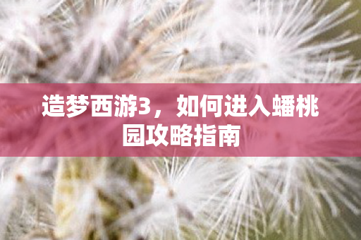 如何进入蟠桃园攻略指南图片