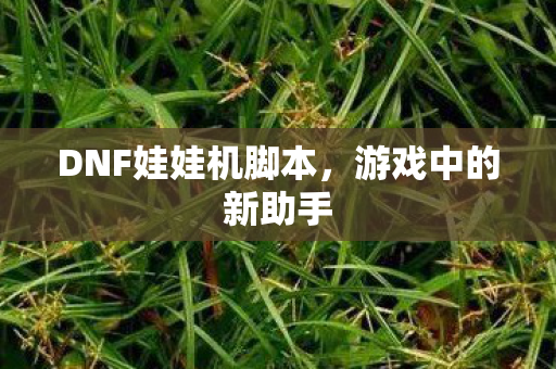 DNF娃娃机脚本图片