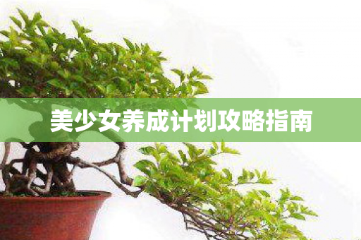 美少女养成计划攻略指南图片
