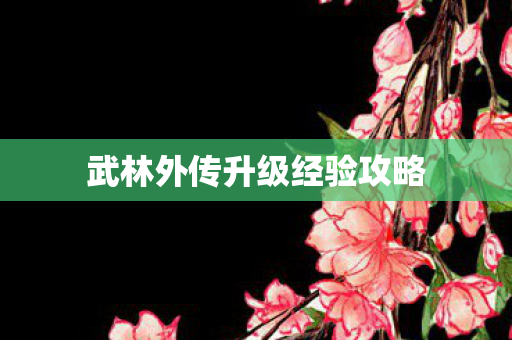 武林外传升级经验攻略图片