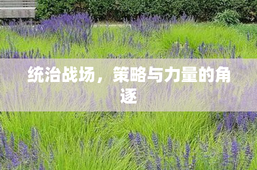 策略与力量的角逐图片