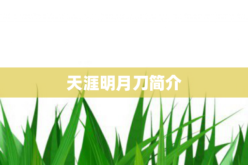 天涯明月刀简介图片