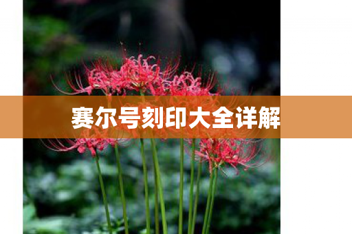 赛尔号刻印大全详解图片