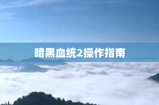 暗黑血统2操作指南图片