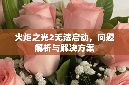 火炬之光2无法启动图片