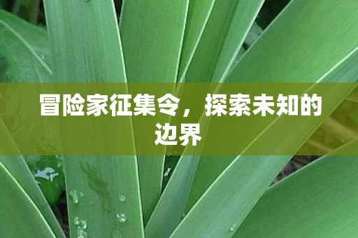 探索未知的边界图片