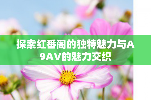 探索红番阁的独特魅力与A9AV的魅力交织图片
