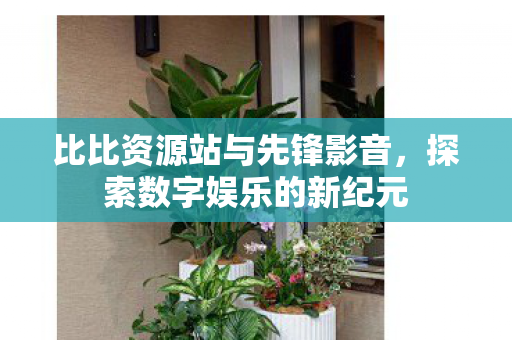 比比资源站与先锋影音图片
