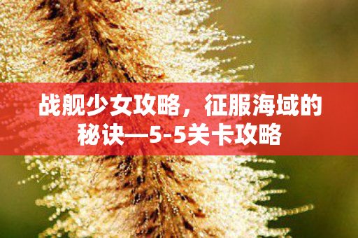 征服海域的秘诀图片