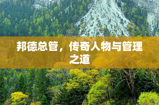 传奇人物与管理之道图片