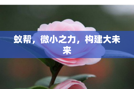 构建大未来图片