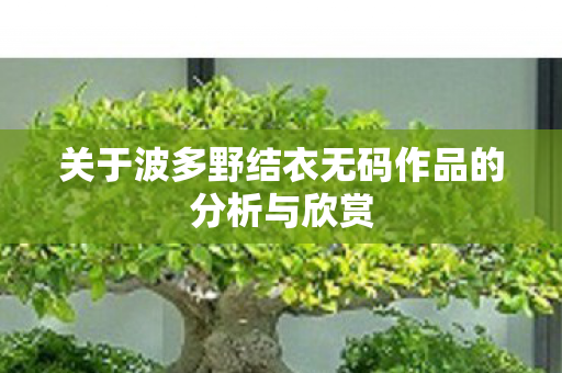 关于波多野结衣无码作品的分析与欣赏图片