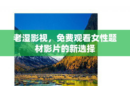 免费观看女性题材影片的新选择图片