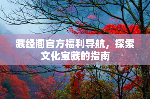 藏经阁官方福利导航图片