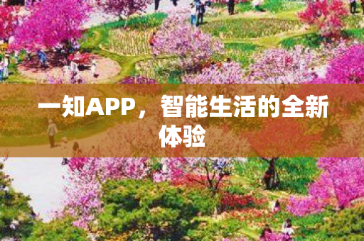 智能生活的全新体验图片