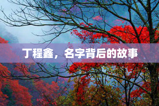 名字背后的故事图片
