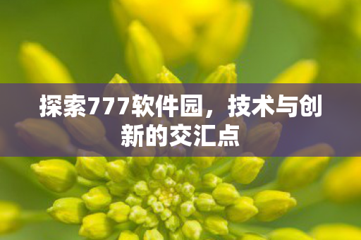 技术与创新的交汇点图片