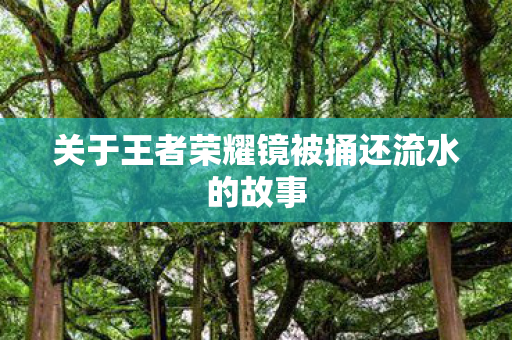 关于王者荣耀镜被捅还流水的故事图片