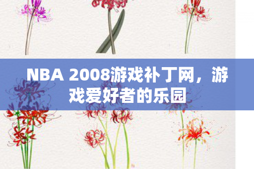 NBA 2008游戏补丁网图片