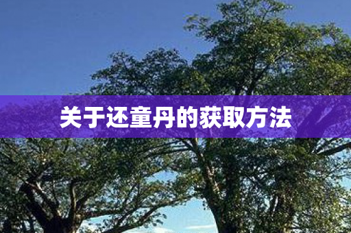 关于还童丹的获取方法图片