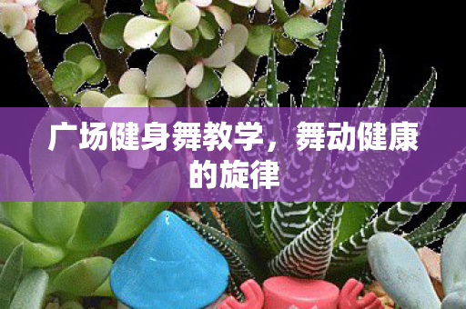 广场健身舞教学图片