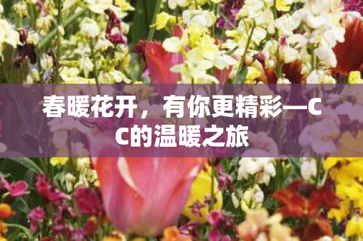CC的温暖之旅图片
