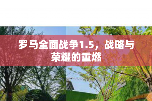 战略与荣耀的重燃图片