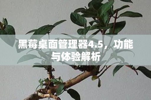 黑莓桌面管理器4图片