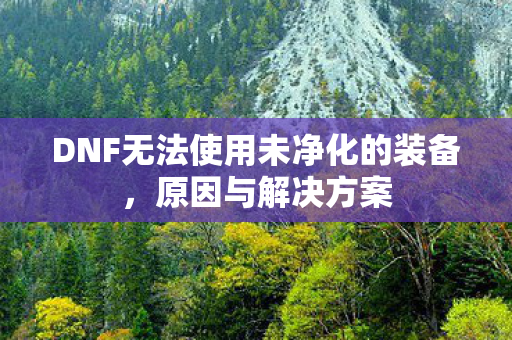 DNF无法使用未净化的装备图片