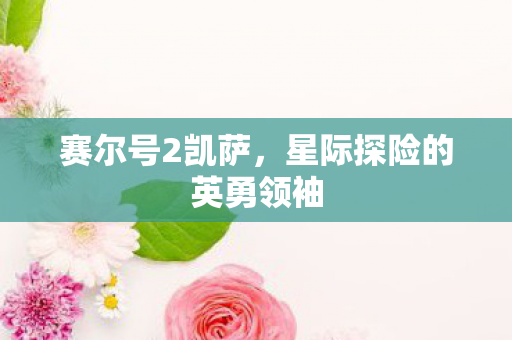 星际探险的英勇领袖图片