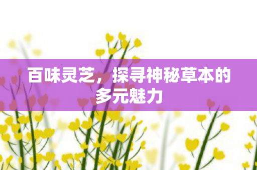 探寻神秘草本的多元魅力图片