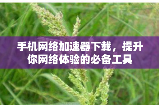 提升你网络体验的必备工具图片