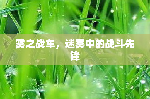 迷雾中的战斗先锋图片