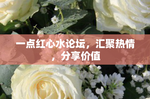 一点红心水论坛图片